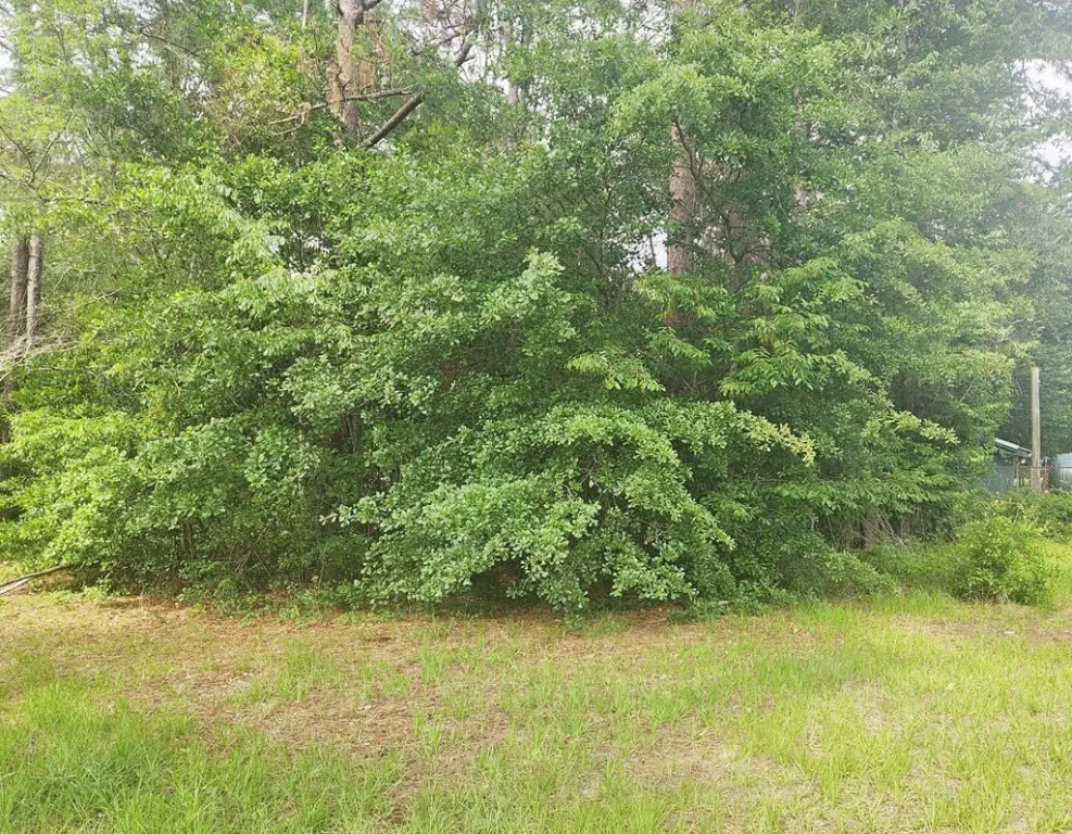 Picture 5