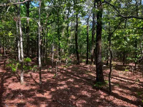 40 Acres Wooded Land in Wister