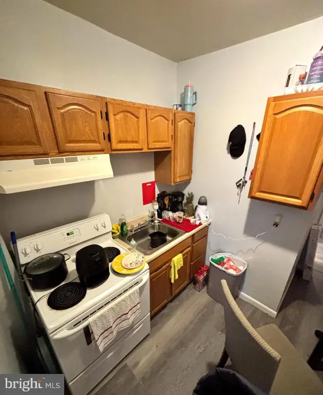 Picture 5
