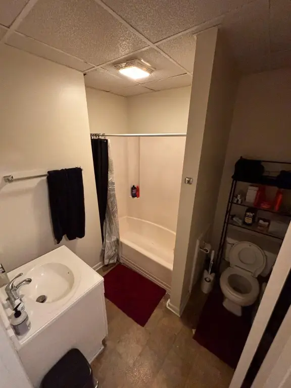 Picture 20