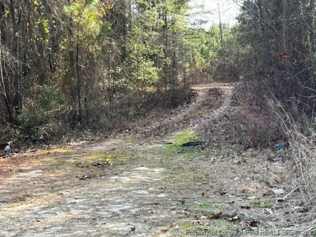 Picture 25