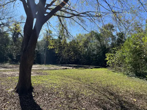 Picture of Residential land & home lots at Waters St 869, Waynesboro, GA