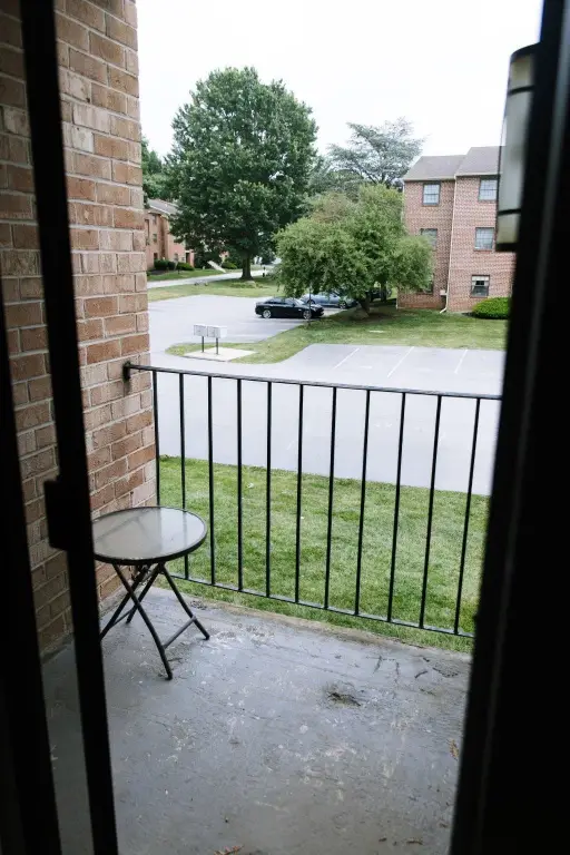 Picture 16