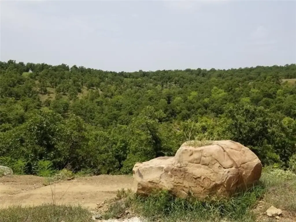 Picture 31