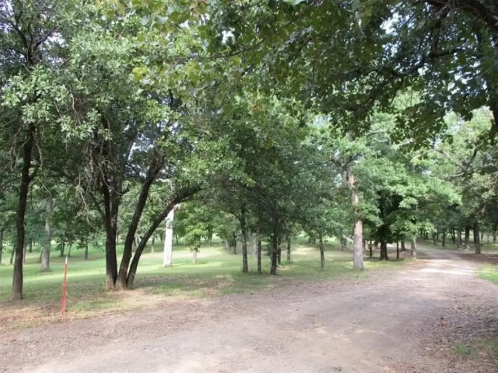 Picture 20