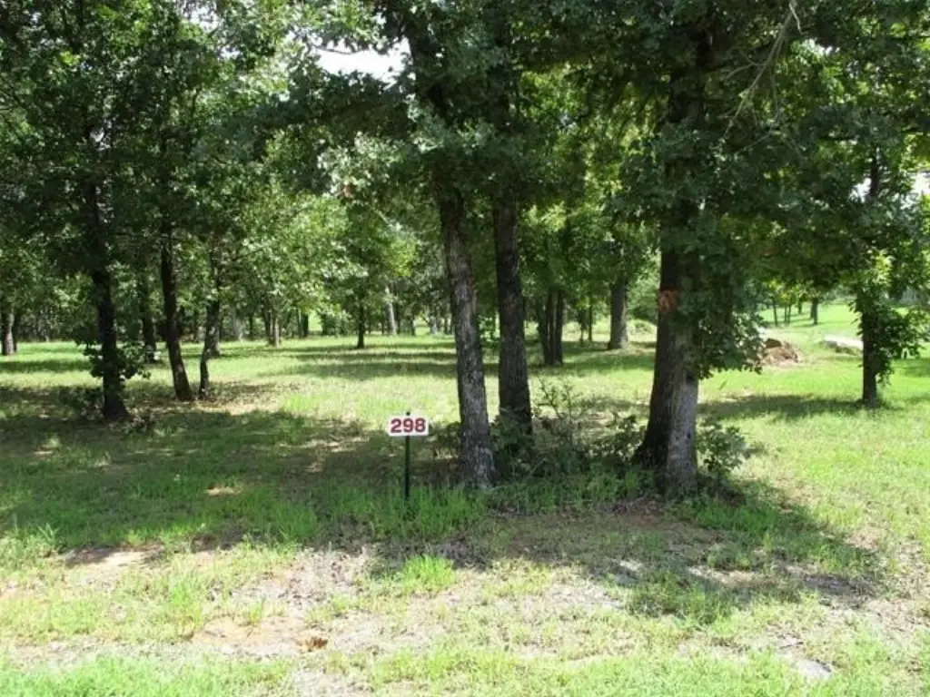 Picture 6