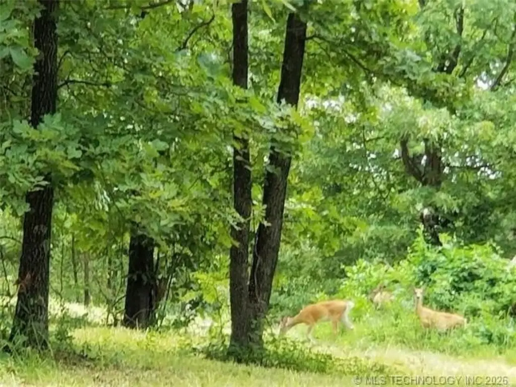 Picture 24