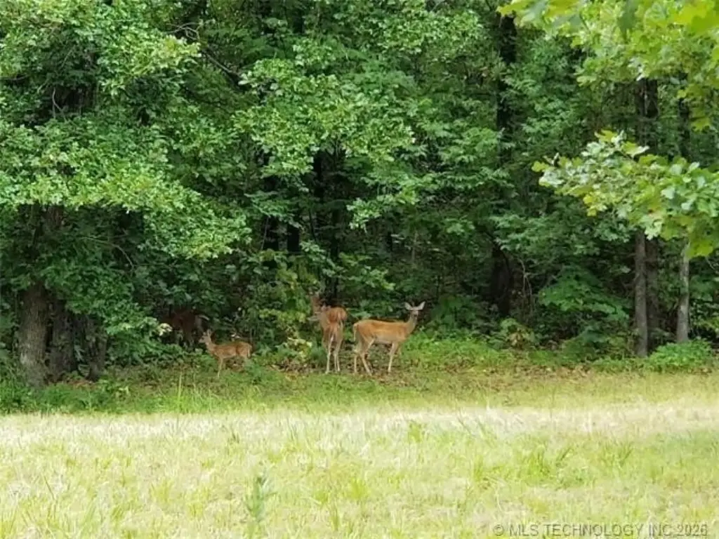 Picture 25