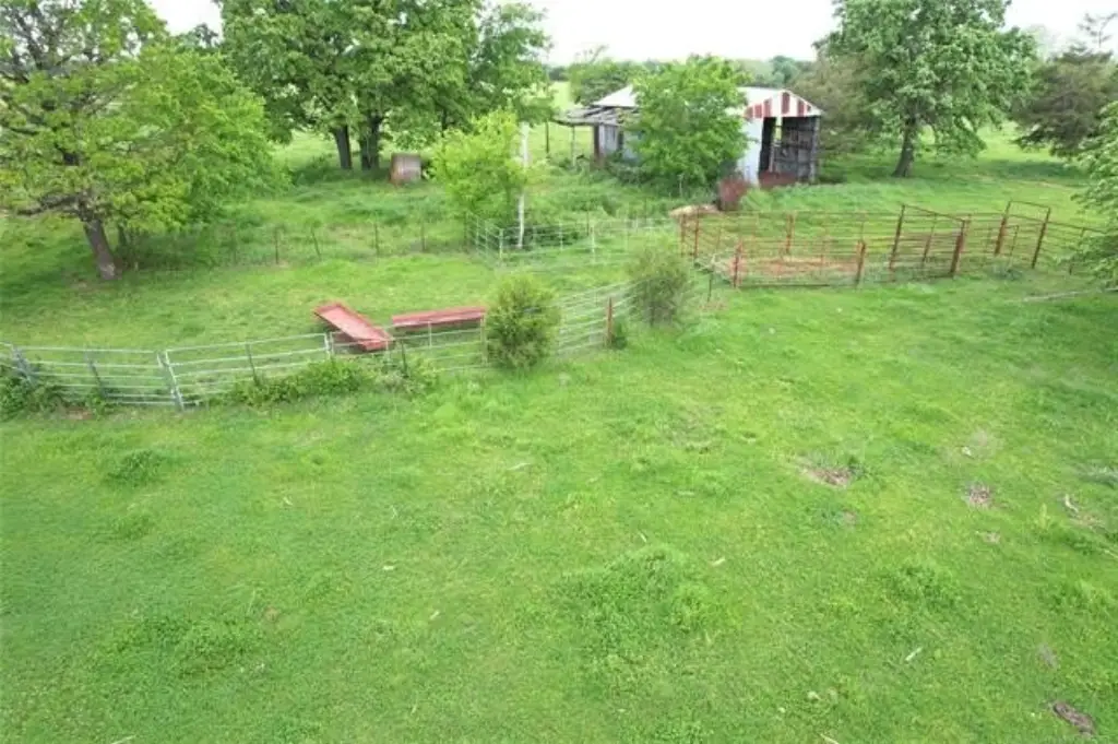 Picture 3