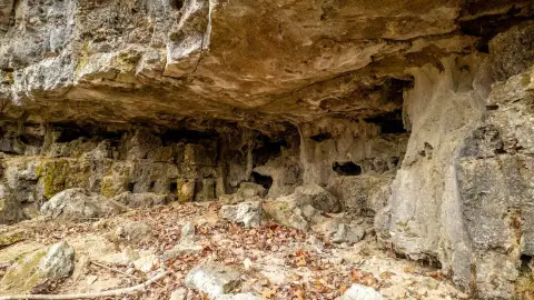 Secluded Land Bordering National Forest