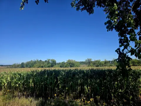 Agricultural Land with Ponds