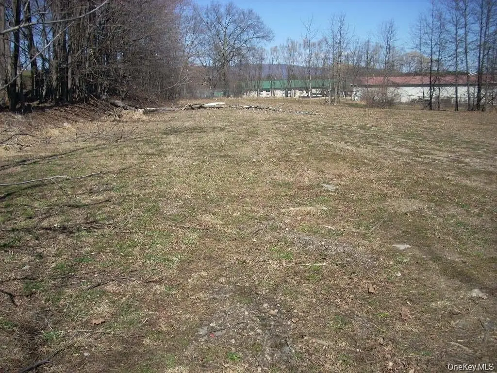 Picture 3