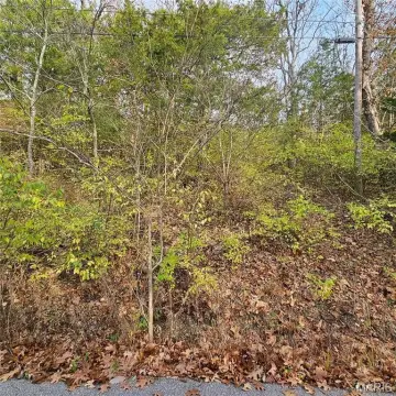 Wooded Lot in Cedar Hill