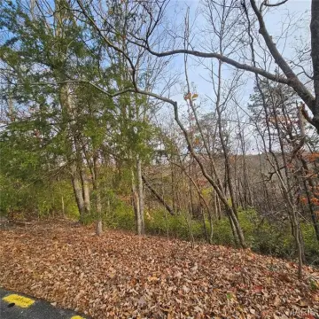 Wooded Lot in Lake Community
