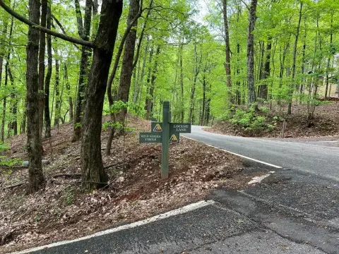 Residential Lot in Big Canoe