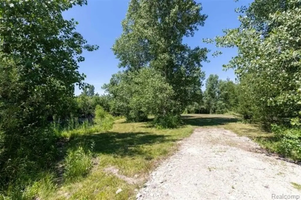 Picture 5