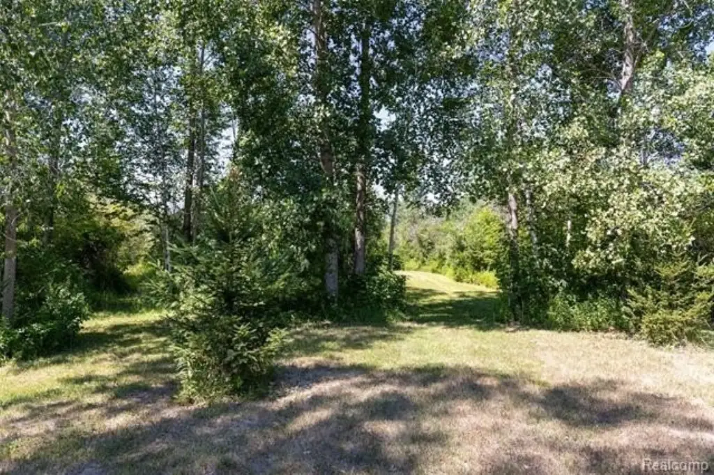 Picture 11