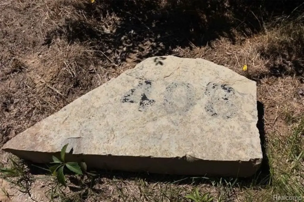 Picture 29