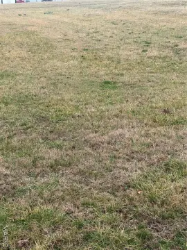 Commercial Land in Wright Park