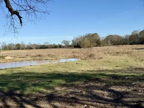 Expansive Land Parcel in Gilmer