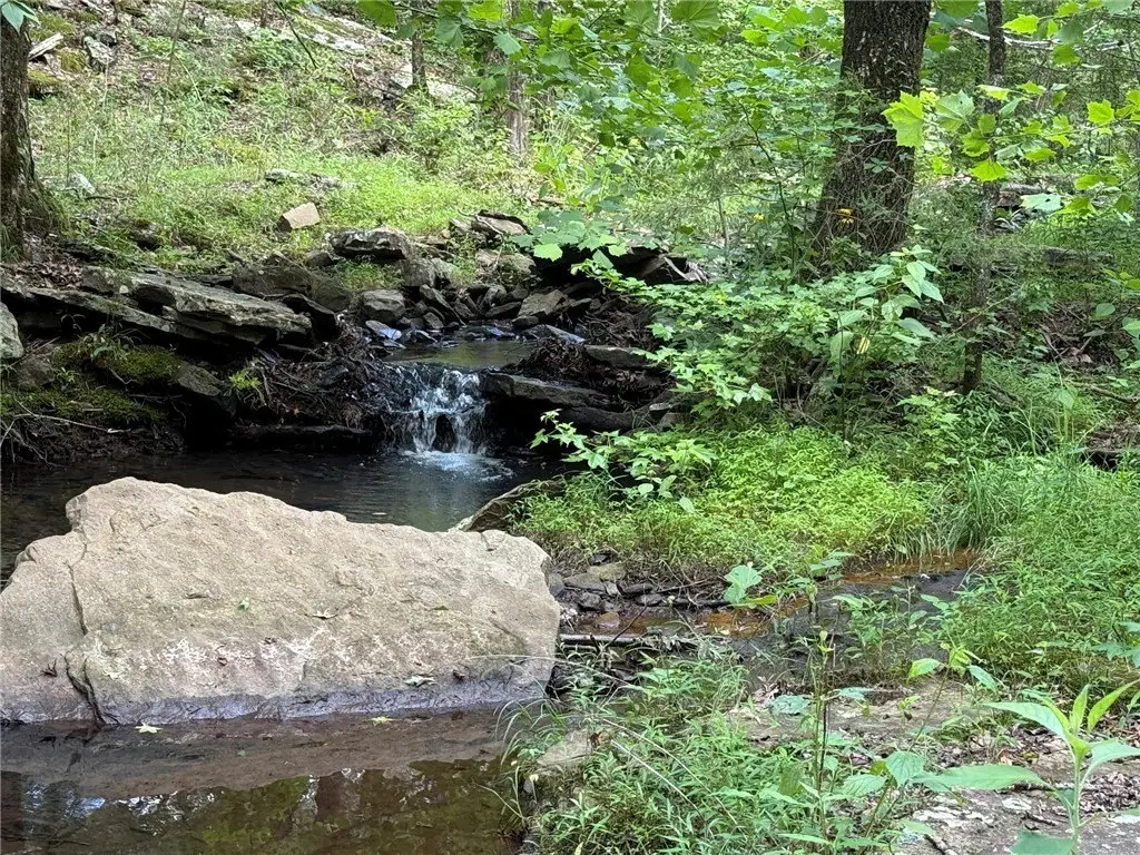 Picture 16