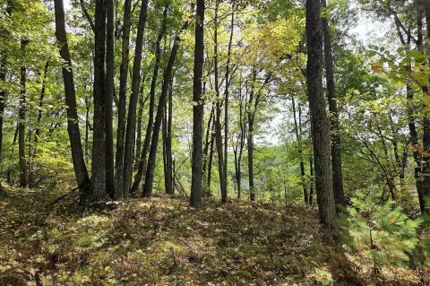 Wooded Land Near Recreational Amenities