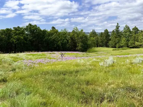 Wyoming Land with Creek Access