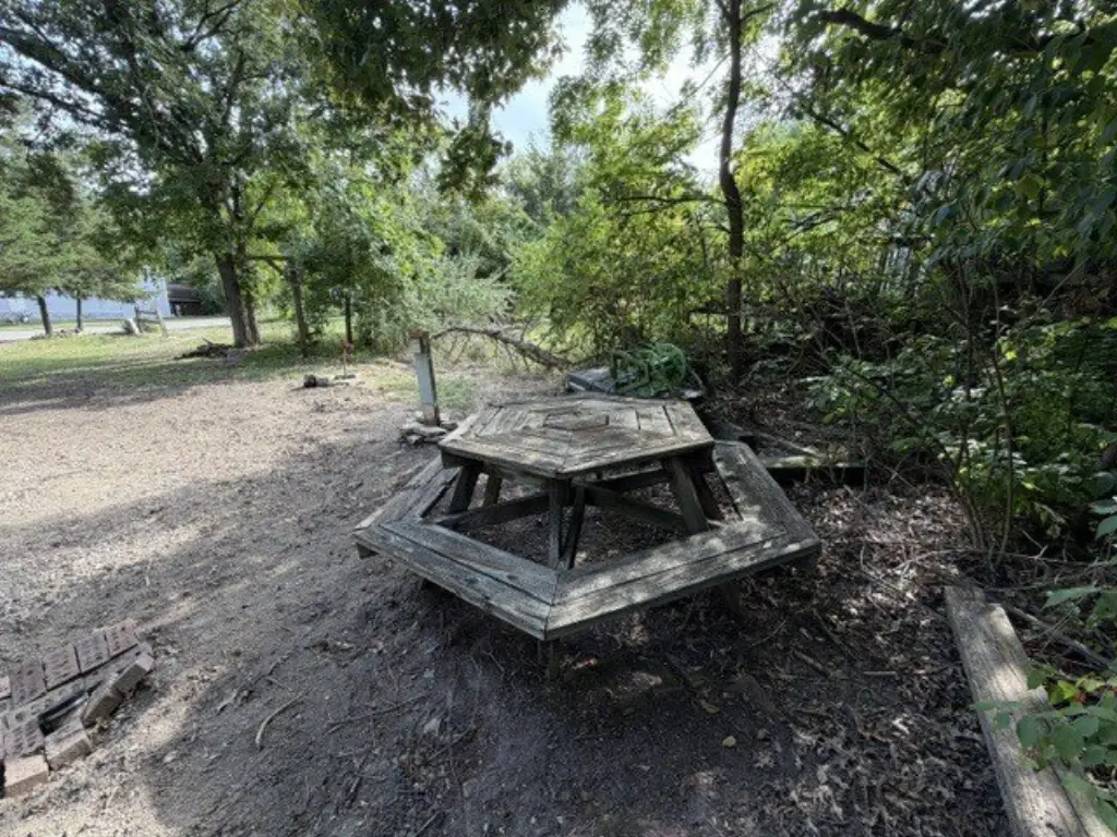 Picture 11