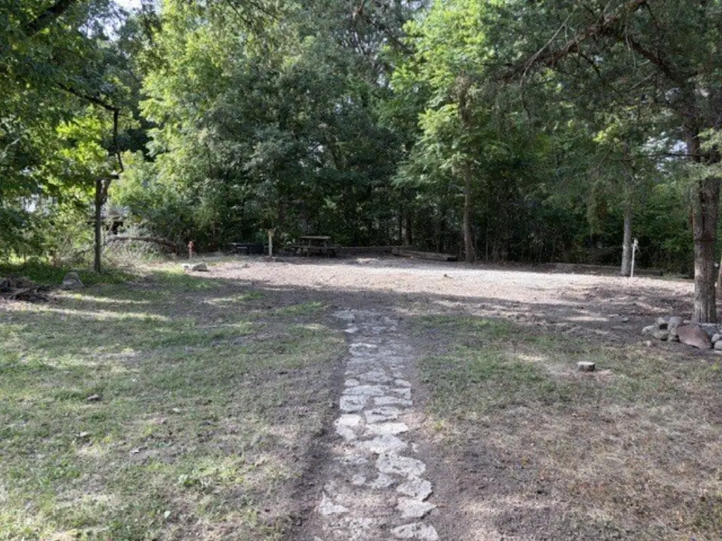 Picture 6