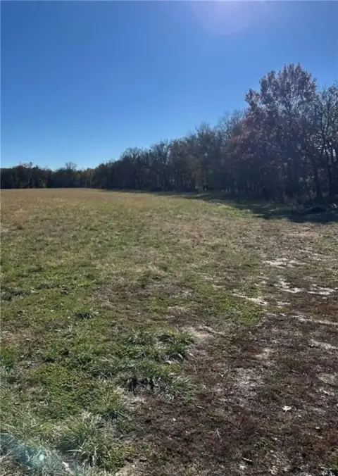 44 Acres Hunting Land Potential Income