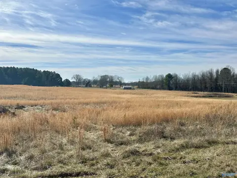 Unrestricted Lot in Limestone County