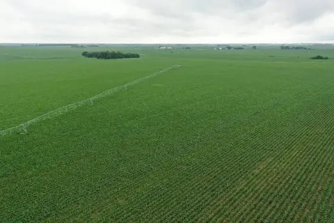 Productive Farm Land in Polk