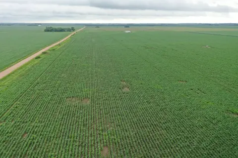 Productive Irrigated Farmland Near Polk, NE