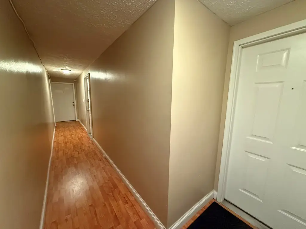 Picture 31