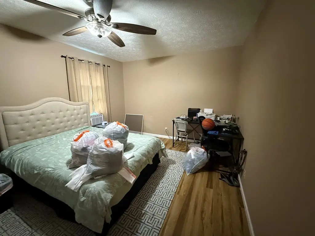 Picture 38
