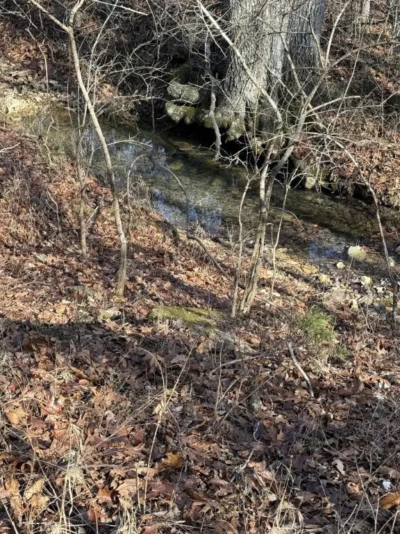 Picture 31
