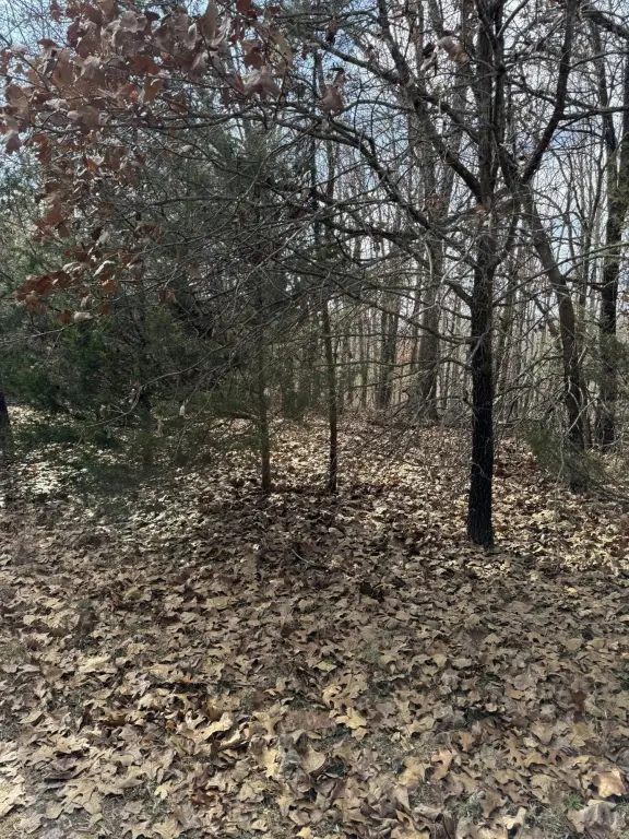 Picture 25