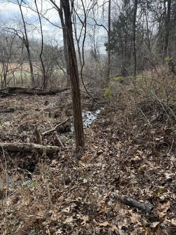 Picture 11