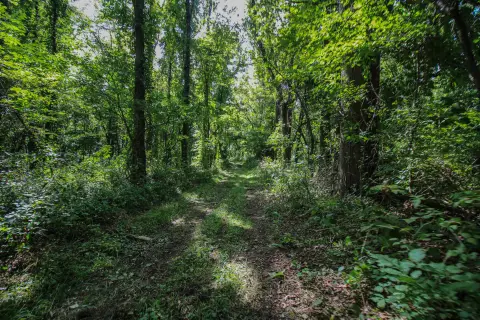 Hunting Land