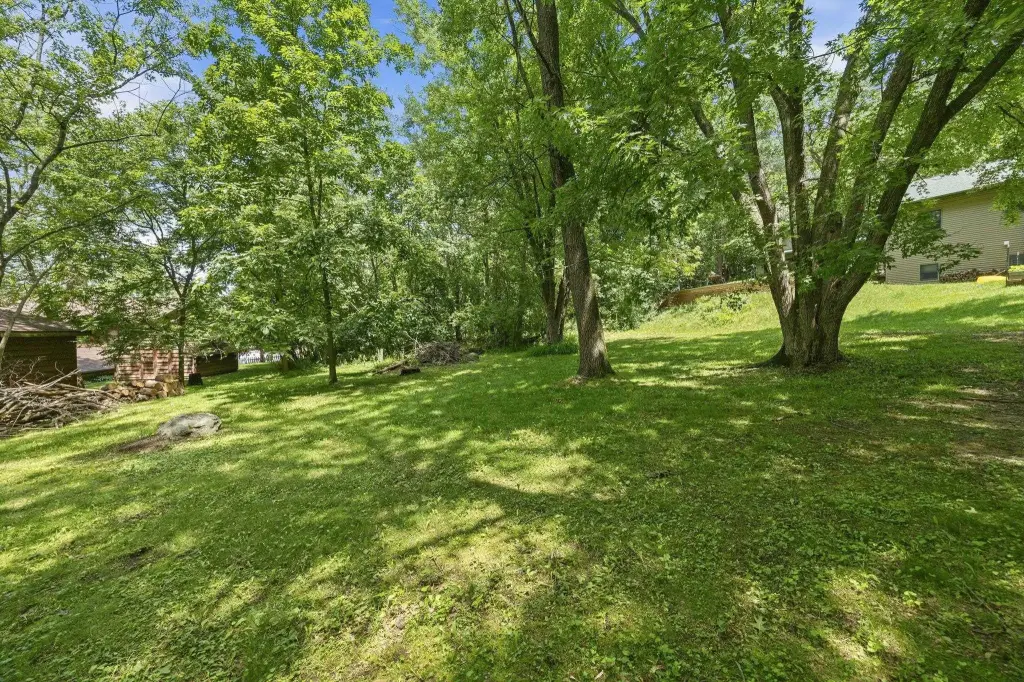 Picture 7