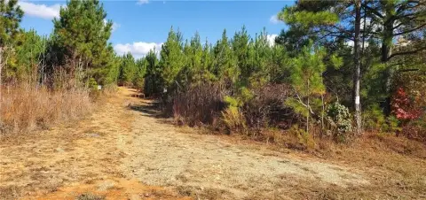 142 Acres Near Badin Lake