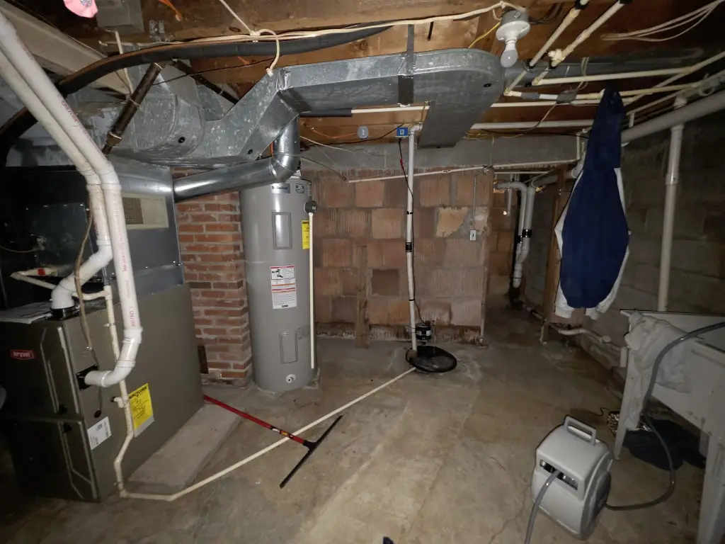 Picture 36