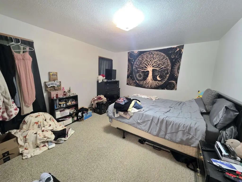 Picture 21