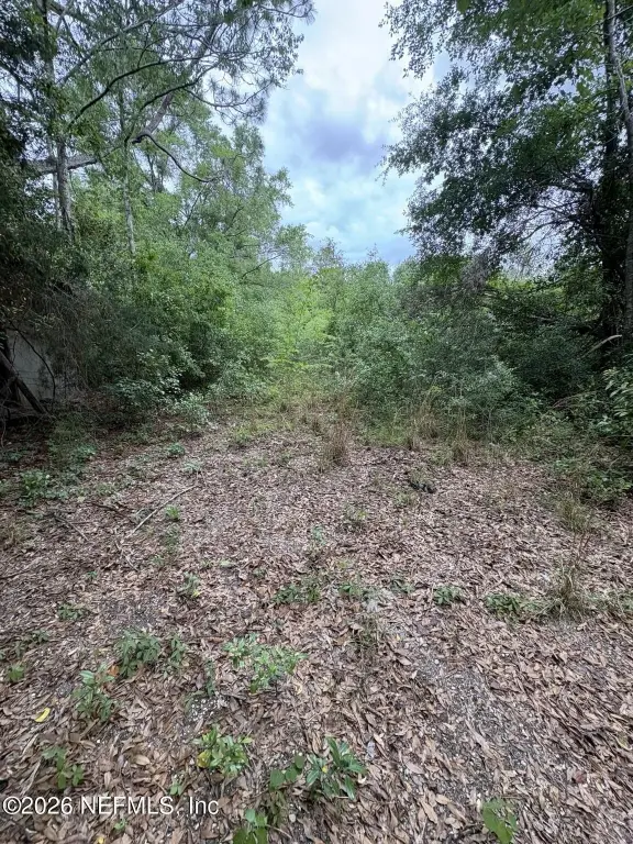 Picture 6