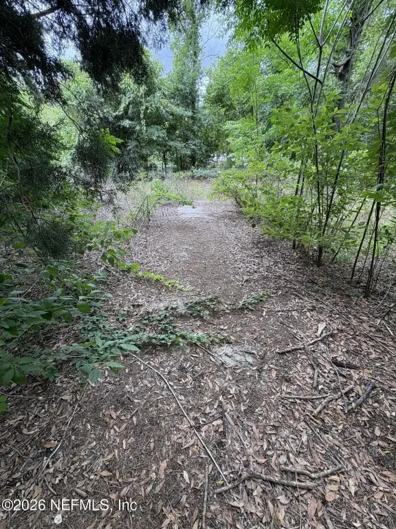 Picture 3
