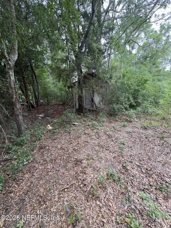 Picture 5