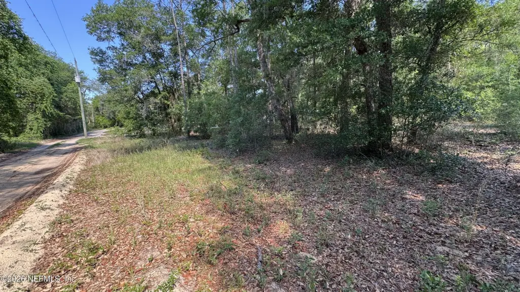 Picture 3