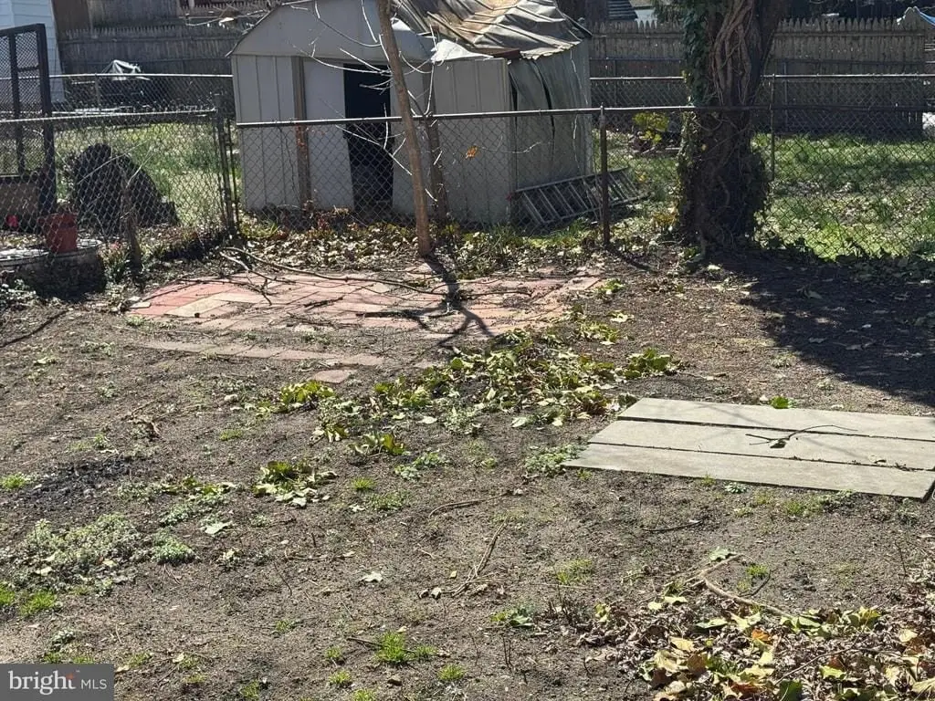 Picture 19