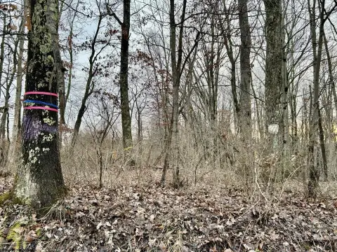 15 Acres Commercial Land I-68