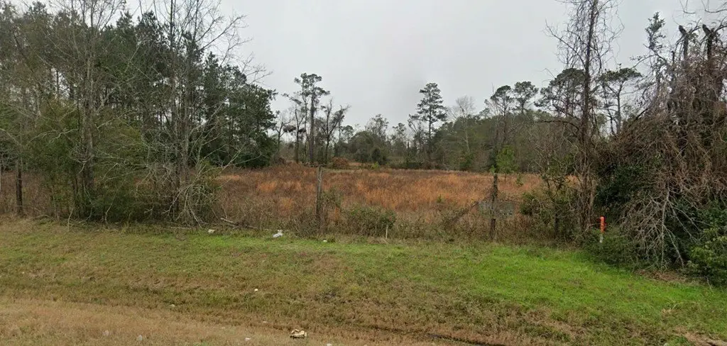 Picture 2